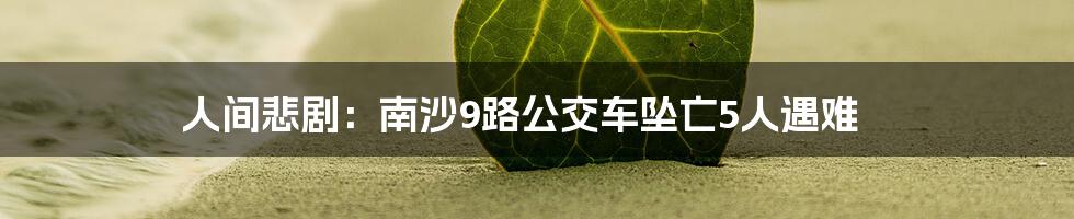 人间悲剧:南沙9路公交车坠亡5人遇难