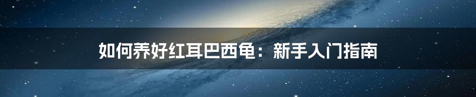 如何养好红耳巴西龟：新手入门指南