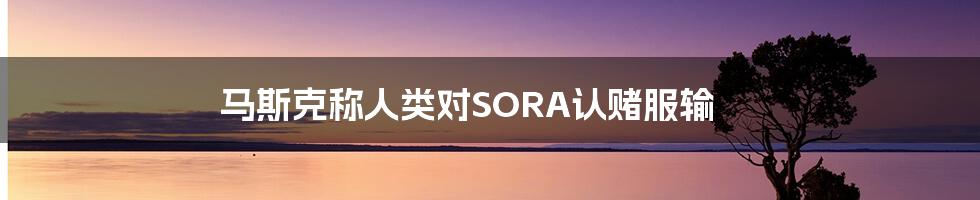 马斯克称人类对SORA认赌服输