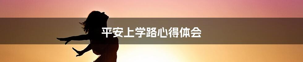 平安上学路心得体会