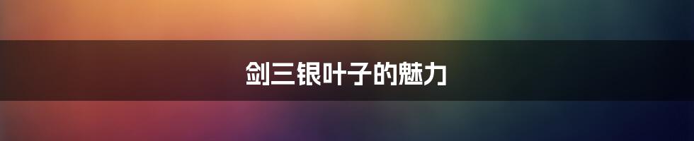 剑三银叶子的魅力