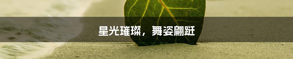 星光璀璨,舞姿翩跹