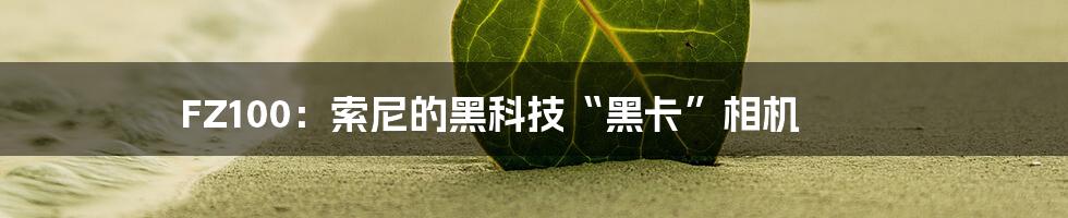 FZ100:索尼的黑科技“黑卡”相机