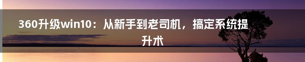 360升级win10:从新手到老司机,搞定系统提升术