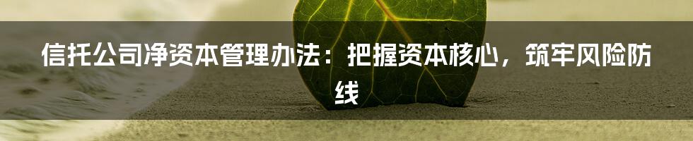 信托公司净资本管理办法:把握资本核心,筑牢风险防线