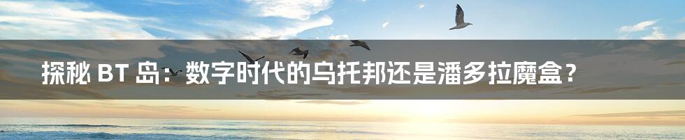 探秘 BT 岛:数字时代的乌托邦还是潘多拉魔盒?