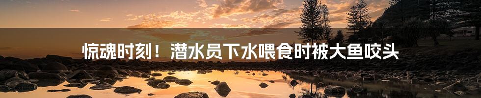 惊魂时刻!潜水员下水喂食时被大鱼咬头