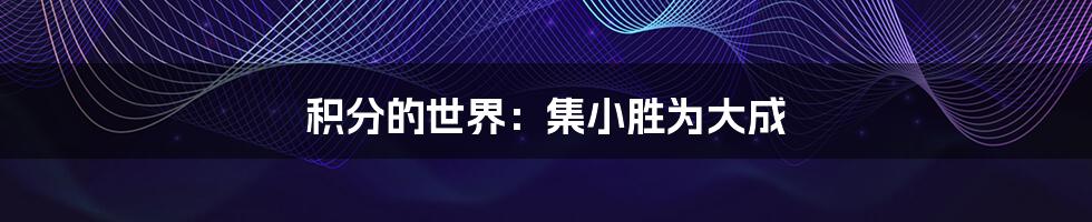 积分的世界:集小胜为大成