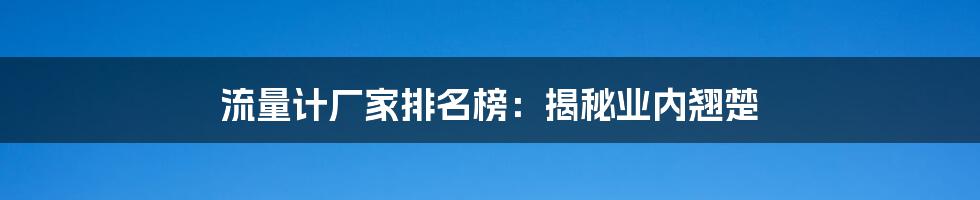 流量计厂家排名榜：揭秘业内翘楚