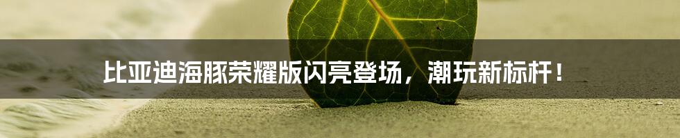 比亚迪海豚荣耀版闪亮登场,潮玩新标杆!