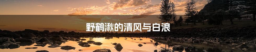 野鹤湫的清风与白浪