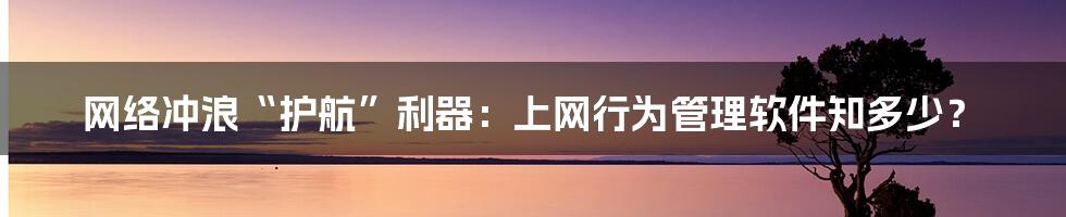 网络冲浪“护航”利器:上网行为管理软件知多少?