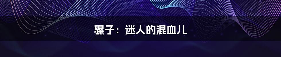 骡子:迷人的混血儿
