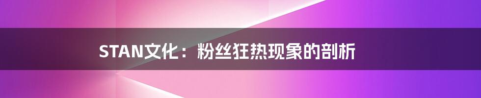 STAN文化:粉丝狂热现象的剖析