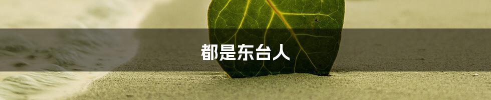 都是东台人