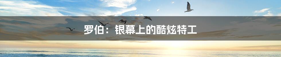 罗伯:银幕上的酷炫特工