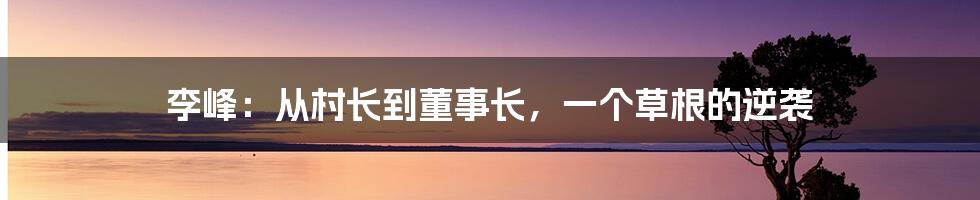 李峰：从村长到董事长，一个草根的逆袭