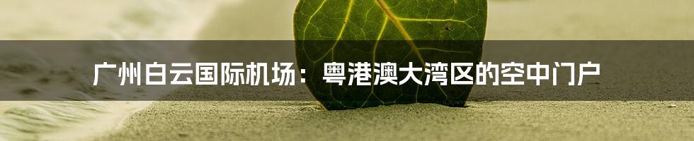 广州白云国际机场:粤港澳大湾区的空中门户