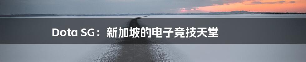 Dota SG:新加坡的电子竞技天堂