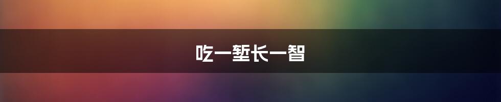 吃一堑长一智
