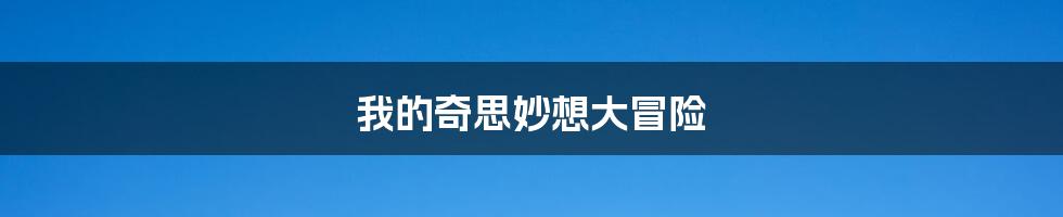 我的奇思妙想大冒险
