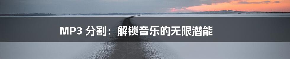 MP3 分割:解锁音乐的无限潜能