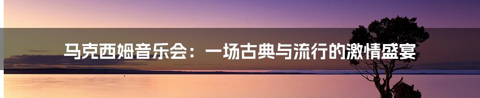 马克西姆音乐会:一场古典与流行的激情盛宴