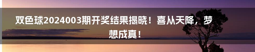 双色球2024003期开奖结果揭晓!喜从天降,梦想成真!
