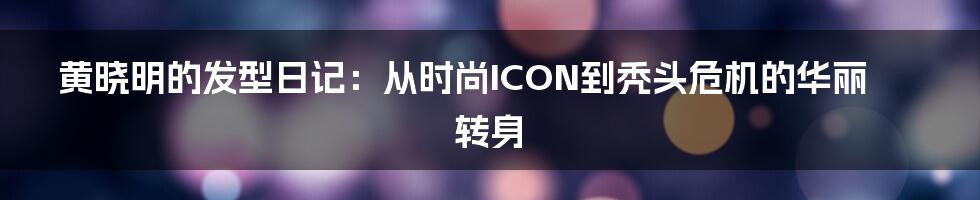 黄晓明的发型日记：从时尚ICON到秃头危机的华丽转身