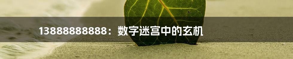 13888888888:数字迷宫中的玄机