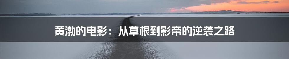 黄渤的电影:从草根到影帝的逆袭之路