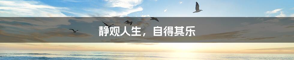静观人生，自得其乐
