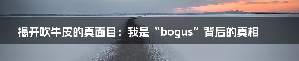 揭开吹牛皮的真面目:我是“bogus”背后的真相