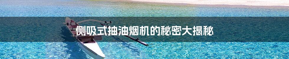 侧吸式抽油烟机的秘密大揭秘