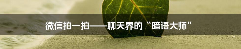 微信拍一拍——聊天界的“暗语大师”