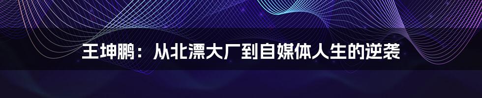 王坤鹏：从北漂大厂到自媒体人生的逆袭