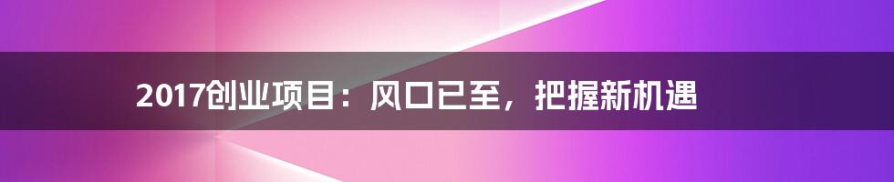 2017创业项目:风口已至,把握新机遇