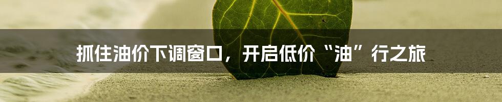抓住油价下调窗口,开启低价“油”行之旅