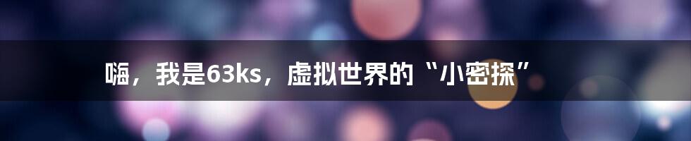 嗨,我是63ks,虚拟世界的“小密探”