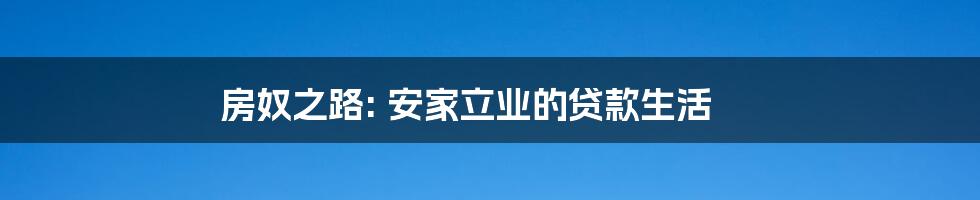 房奴之路: 安家立业的贷款生活