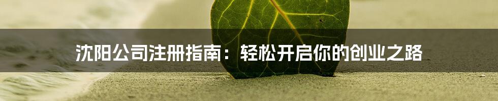 沈阳公司注册指南：轻松开启你的创业之路