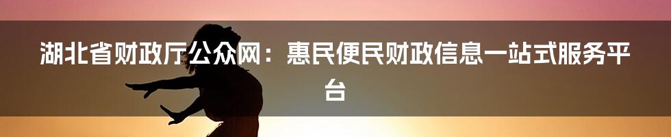 湖北省财政厅公众网:惠民便民财政信息一站式服务平台