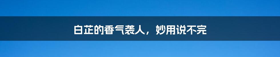 白芷的香气袭人,妙用说不完