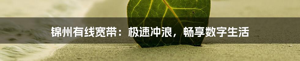 锦州有线宽带:极速冲浪,畅享数字生活