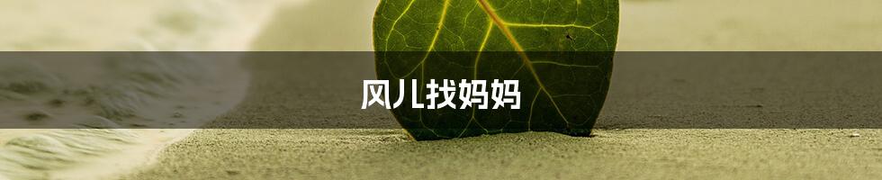 风儿找妈妈