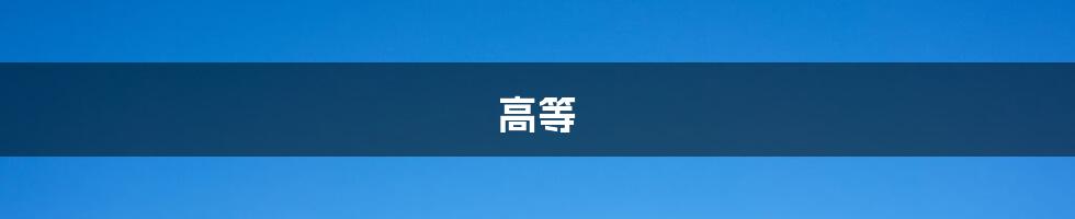 高等