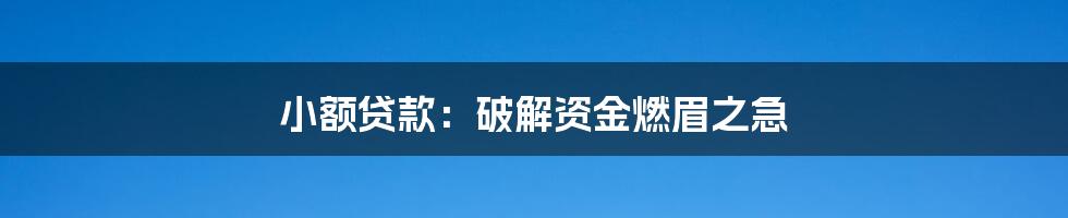 小额贷款：破解资金燃眉之急