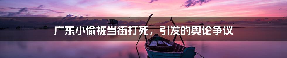 广东小偷被当街打死，引发的舆论争议