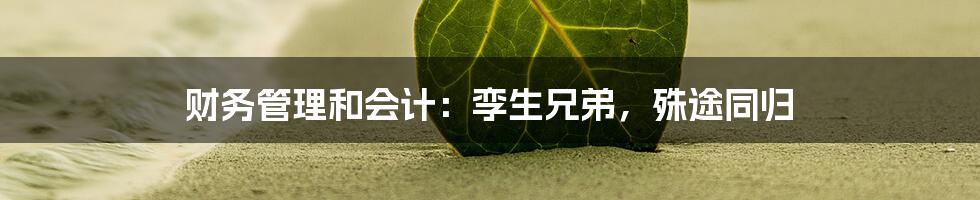 财务管理和会计:孪生兄弟,殊途同归