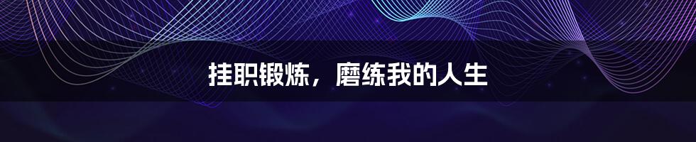 挂职锻炼,磨练我的人生